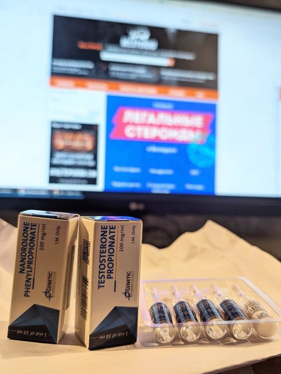 photo_2025-11-30_12-53-12 (2).jpg